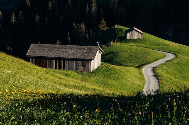 Wandern in Lech Straße führt über sattgrüne Wiesen vorbei an zwei Hütten.